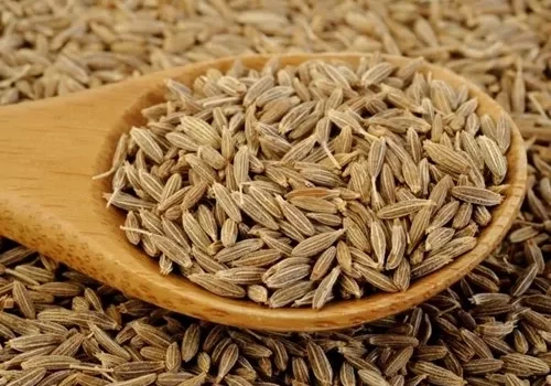 زیره سبز