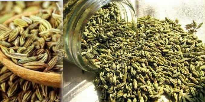 روغن رازیانه 1 روغن رازیانه